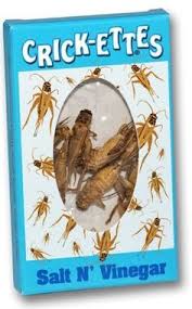 Crickettes Salt N Vinegar